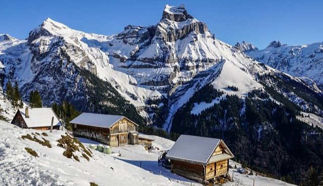 Mountain Gallery-Image-7